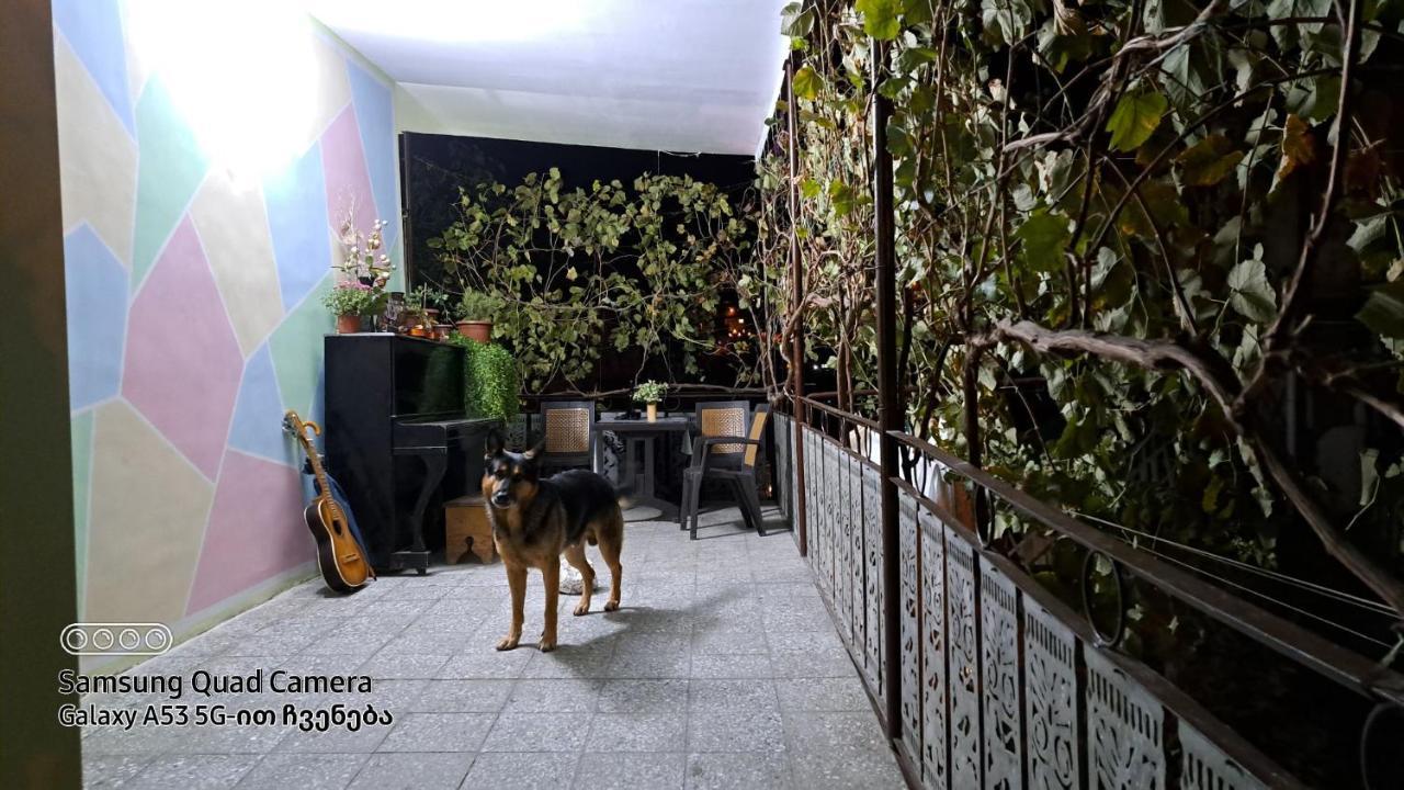 Apartment With A Nice Terrace In Old City Center 第比利斯 外观 照片